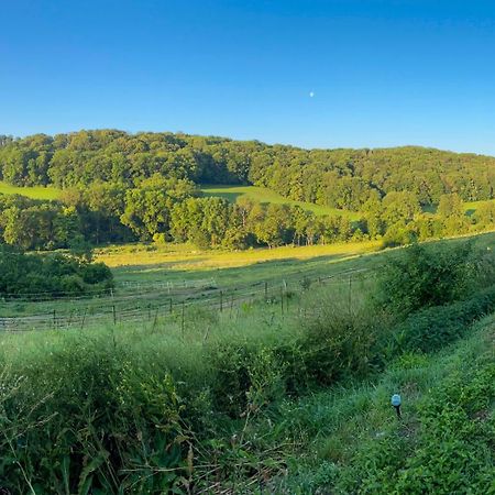 Bauernhof Fuer Naturliebhaber Bucha  Exterior photo