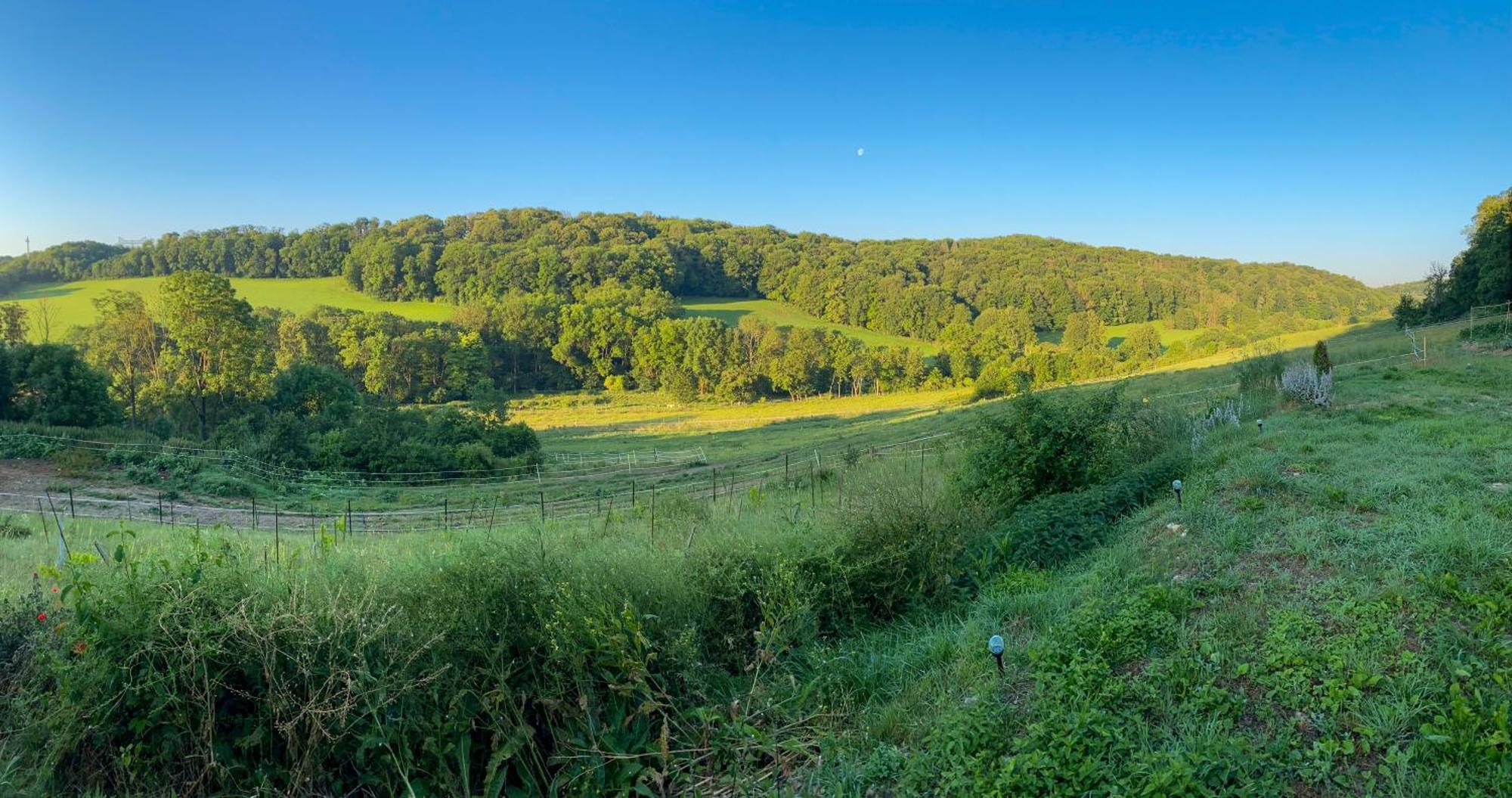 Bauernhof Fuer Naturliebhaber Bucha  Exterior photo